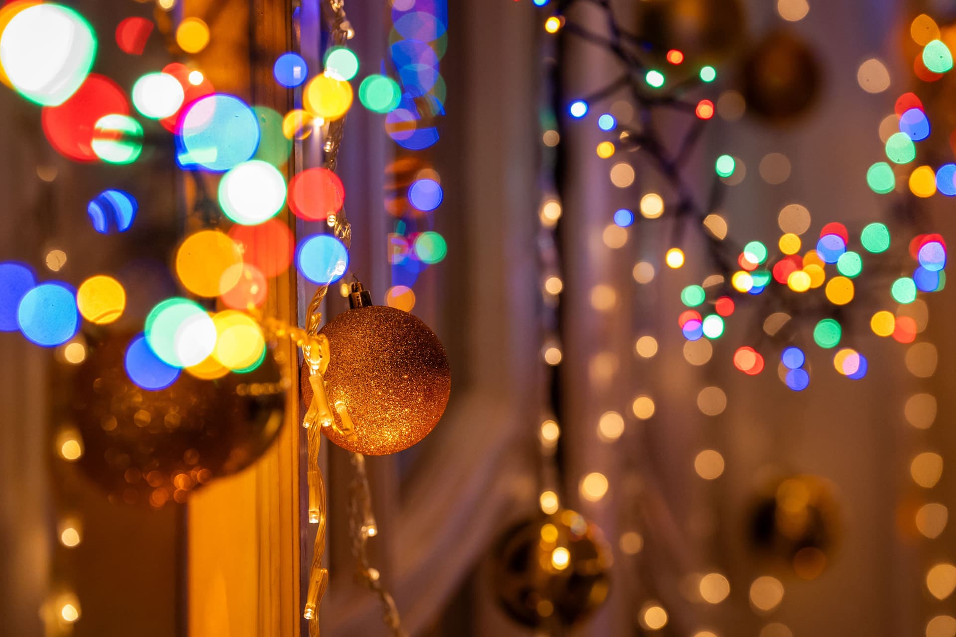 241216_gordoneszter_08528